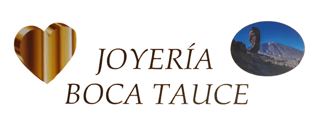 Joyería Boca Tauce logo